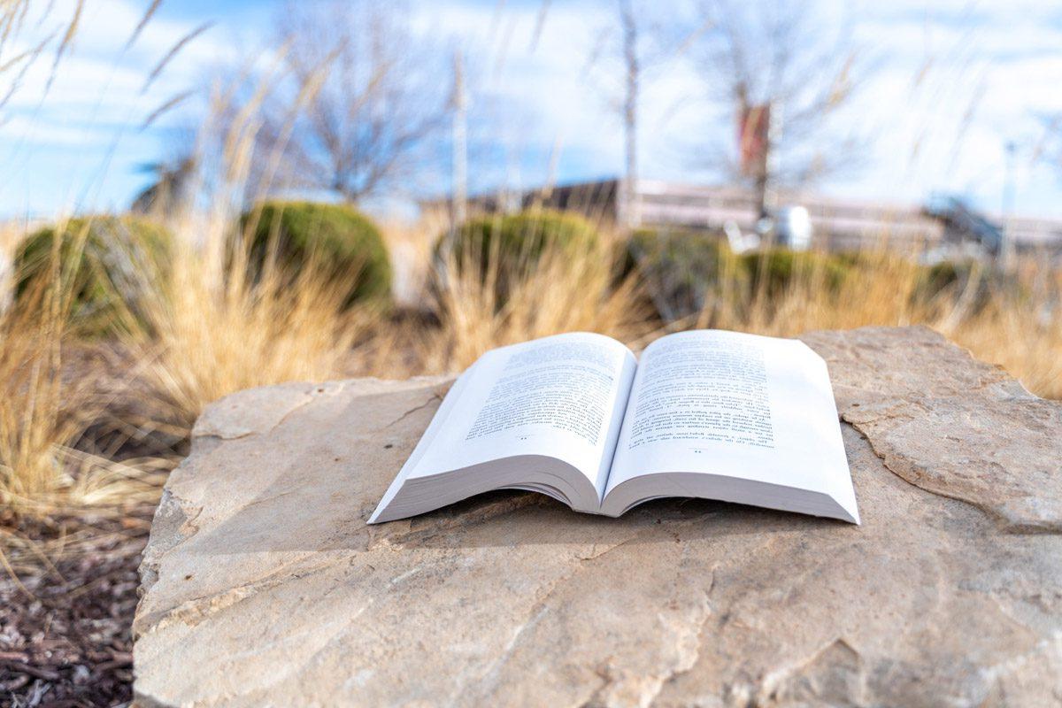 open book sitting on a rock in front of the Tivoli